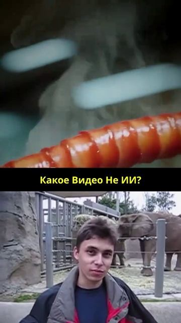 Какое видео не ИИ?