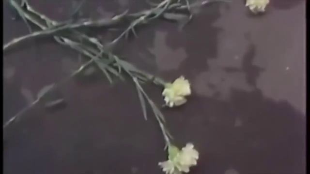 Михаил Боярский - Зеленоглазое такси.