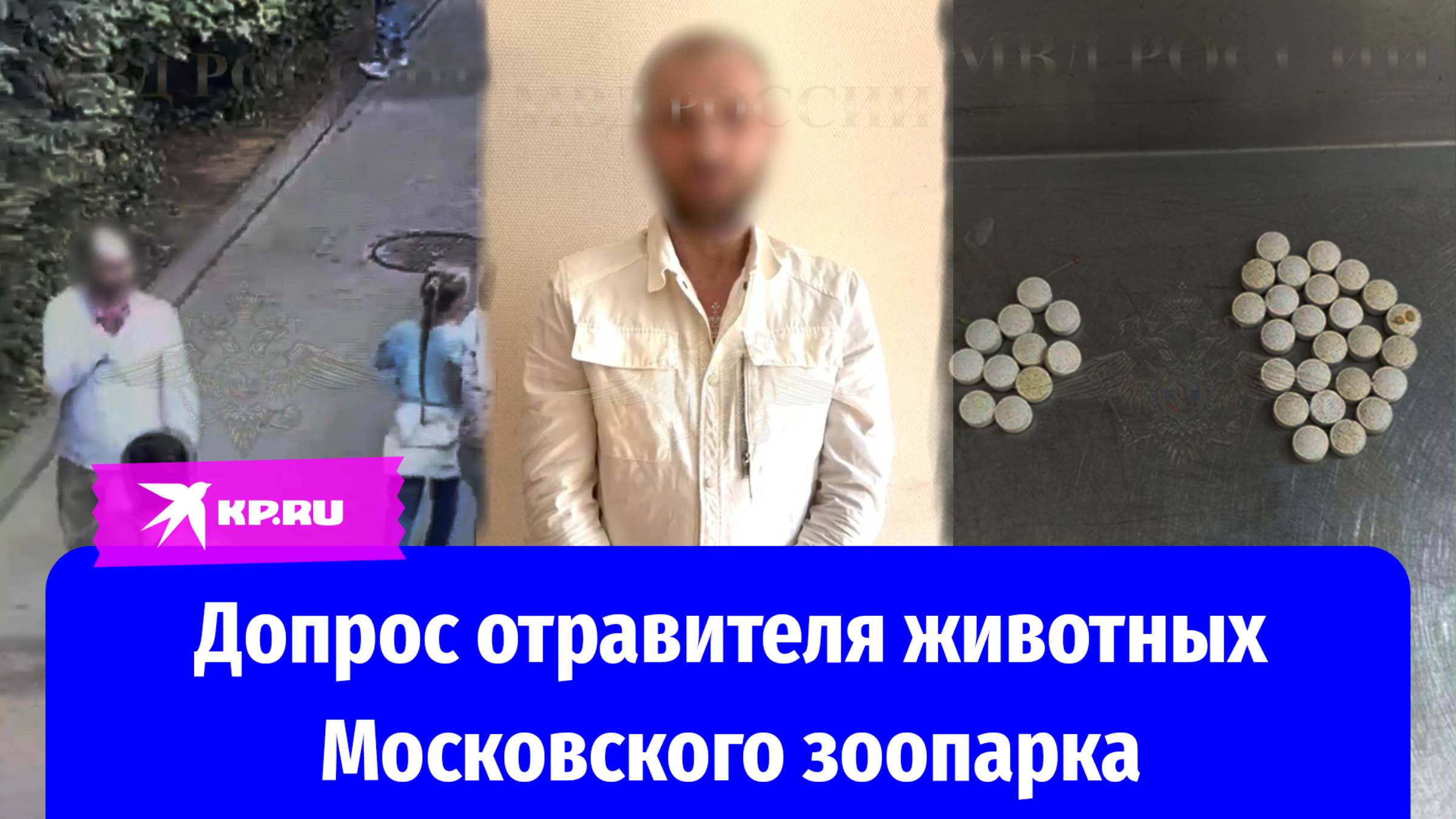 Мужчина, попытавшийся отравить животных Московского зоопарка, признался в содеянном