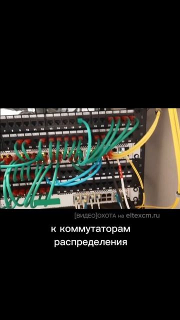 Стойка с оборудованием Eltex:  MES2448P, MES3308F. Видео[Охота] на eltexcm.ru