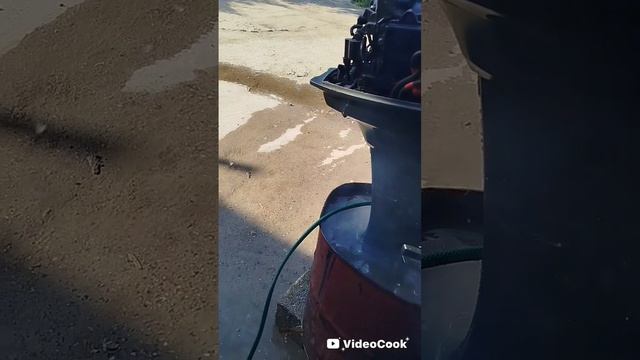1000005542.mp4