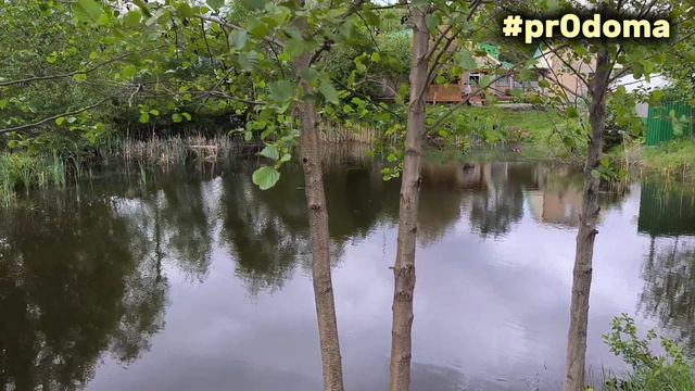 1000470710.mp4