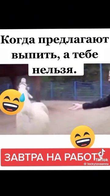 1000098667.mp4