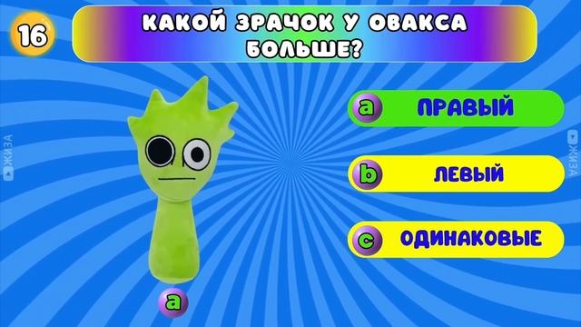 спрунки шоу