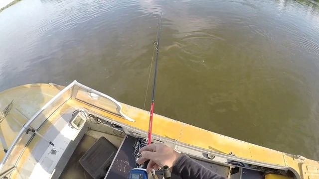 ПЕРВАЯ РЫБАЛКА НА СВОЕЙ ЛОДКЕ ПРОГРЕСС 2М  SUZUKI DF20 👍