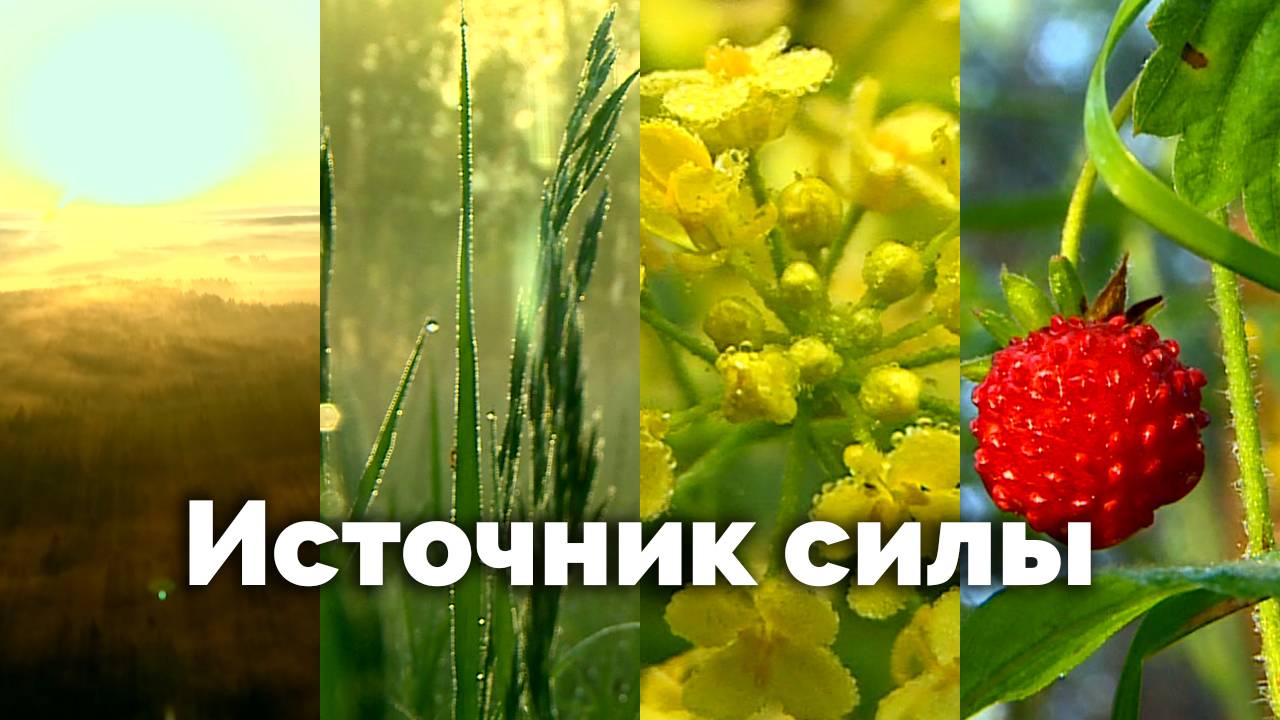 Источник силы | С любовью к русской природе