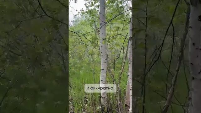 4 необычных навыка ландшафтного архитектора