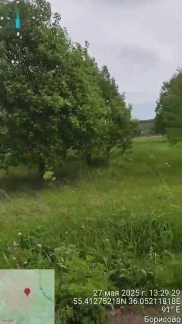 с. Борисово 50:18:0090316:2325