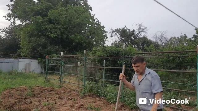 Почему мы решили продать Звёздочку. Издеваемся над козами Наши будни