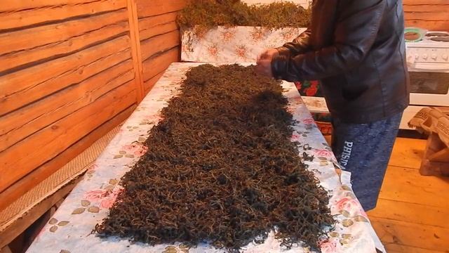 Река русло выправило маленько, Иван - чай сушим
