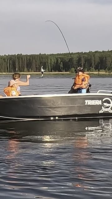 УТОПИЛИ КОПТЕР