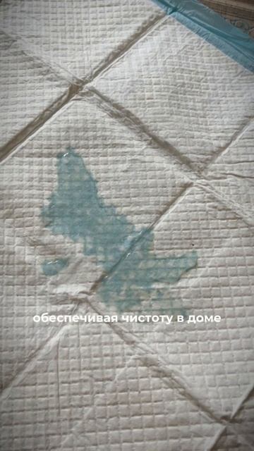 Только взяли щенка❓