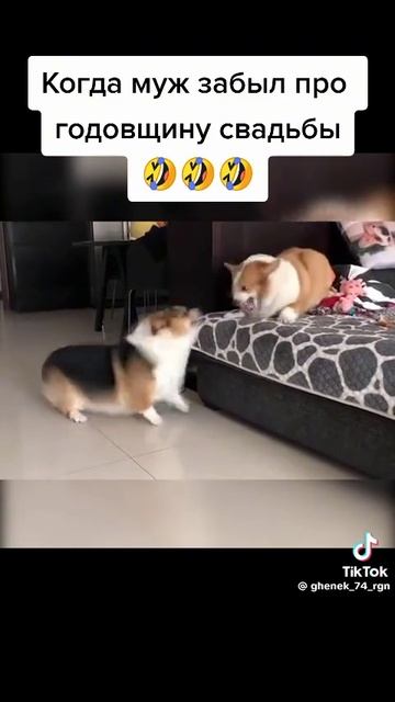 1000098649.mp4