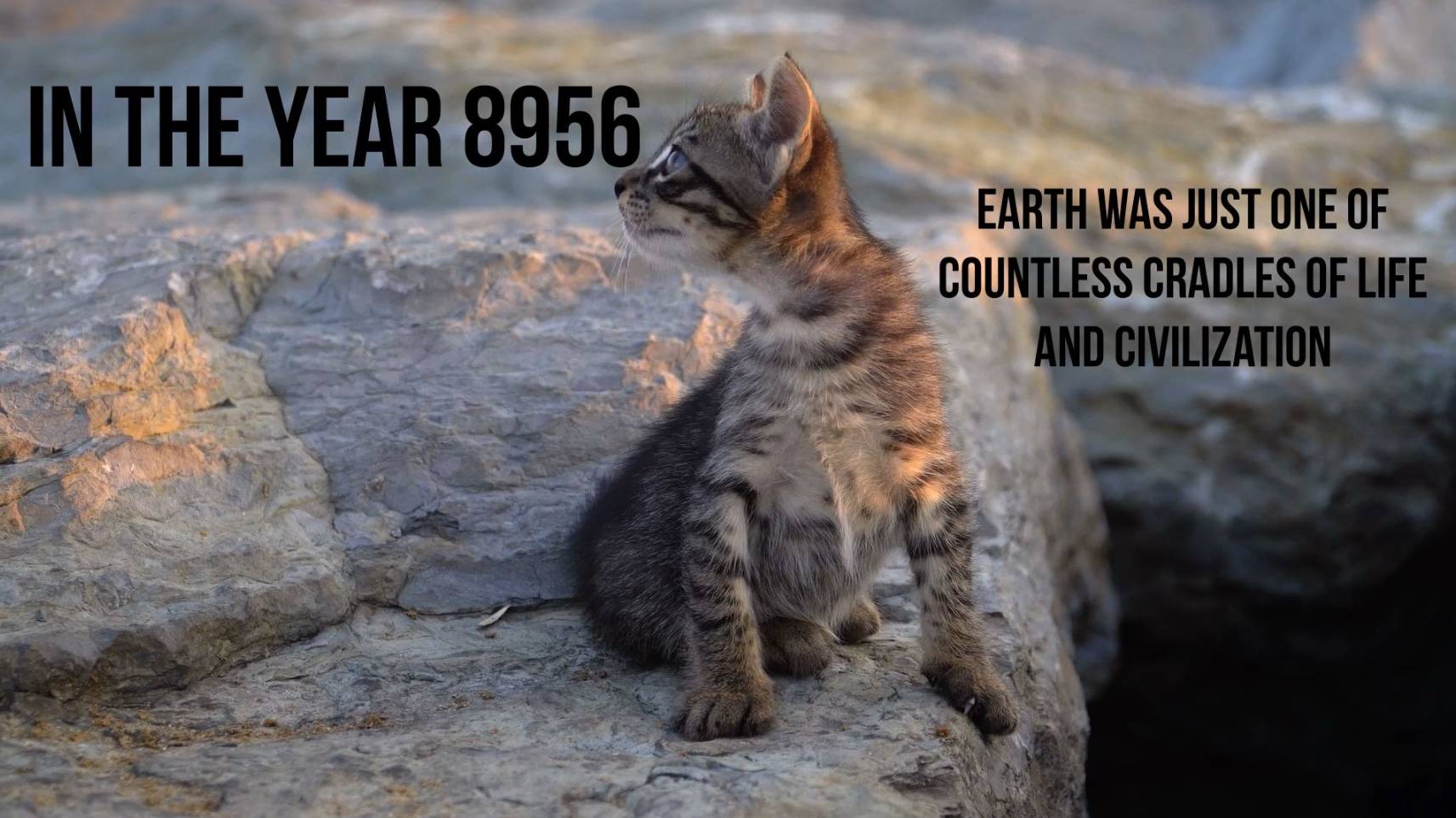 Story # 65: . In the year 8956, Earth was just one of countless cradles of life and civilization