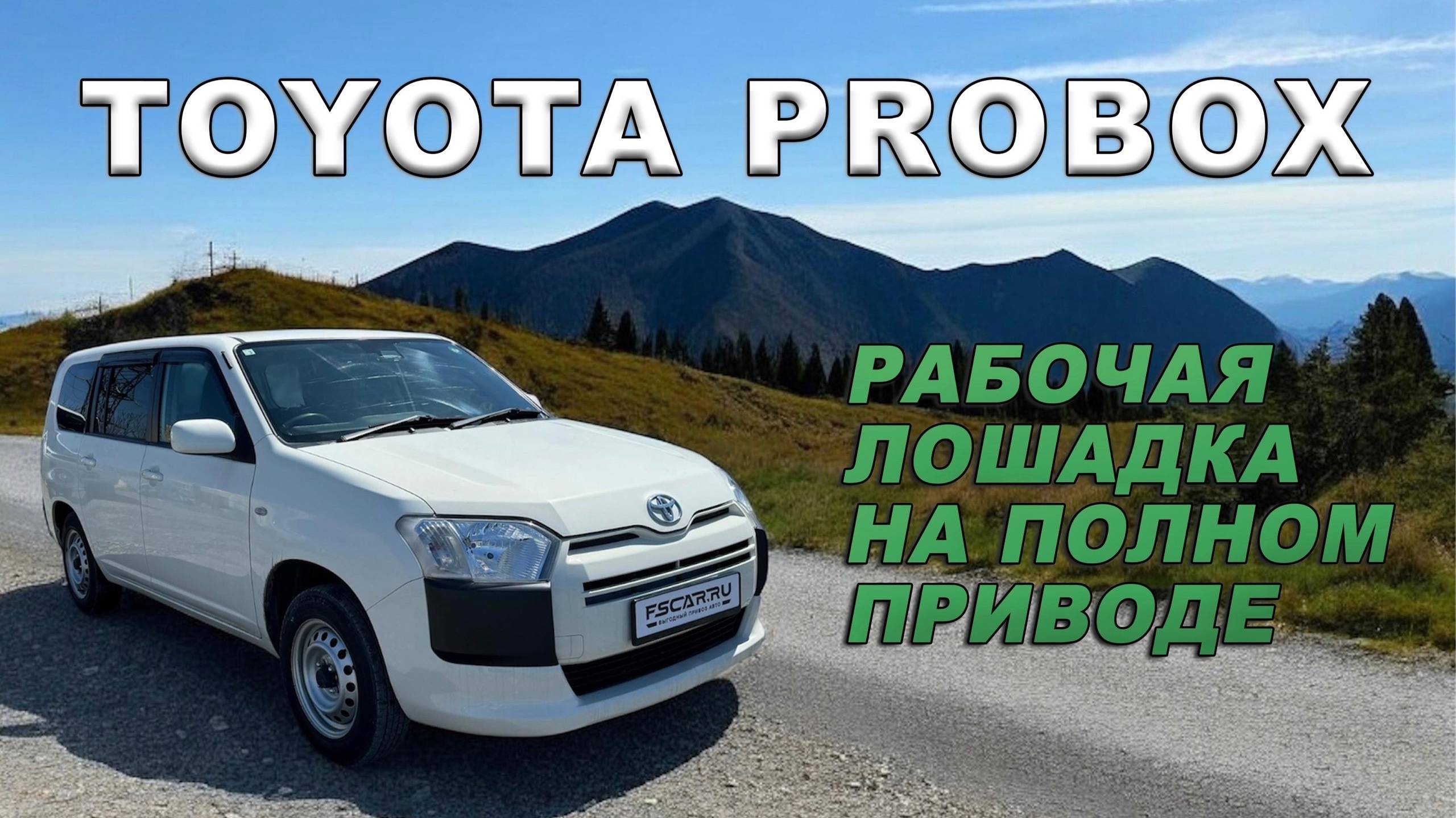 Работяга Toyota Probox