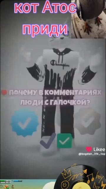 Кот Атос эдит