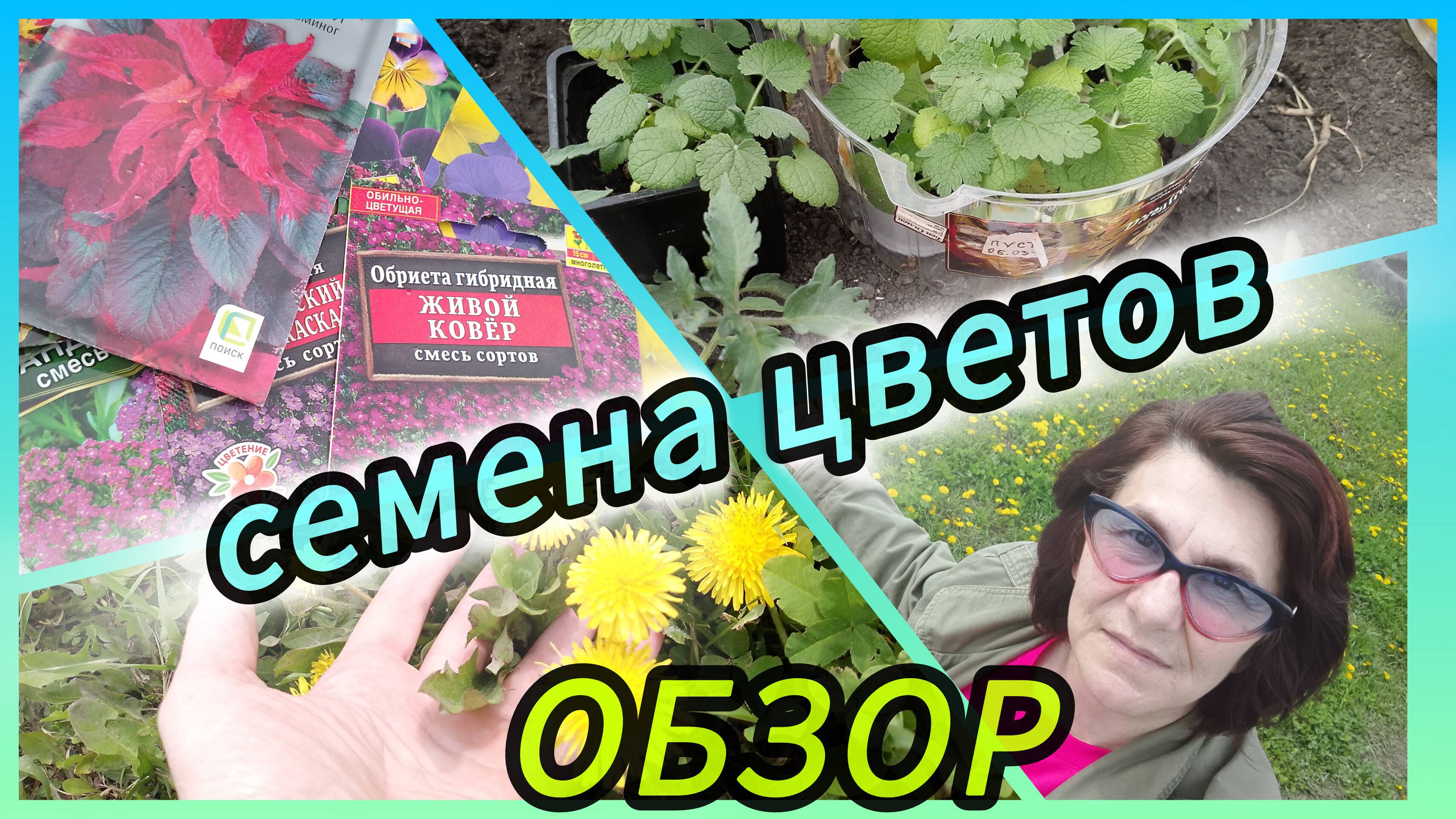 Семена цветов! Ещё не поздно посеять. Виола, обриета, амарант. Планы.