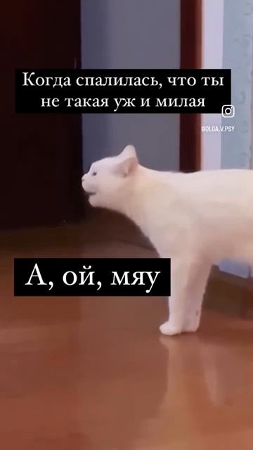 Мяяууу😂