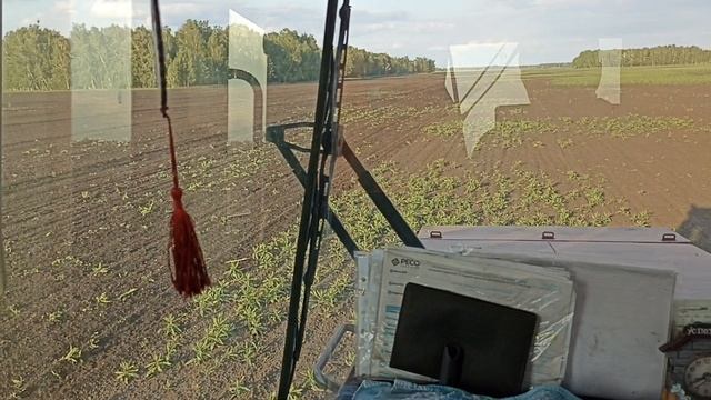 Посевная 2025 начало.