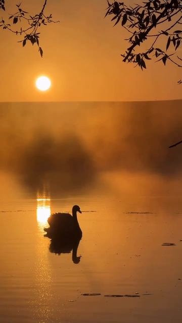 -8902798185753272318