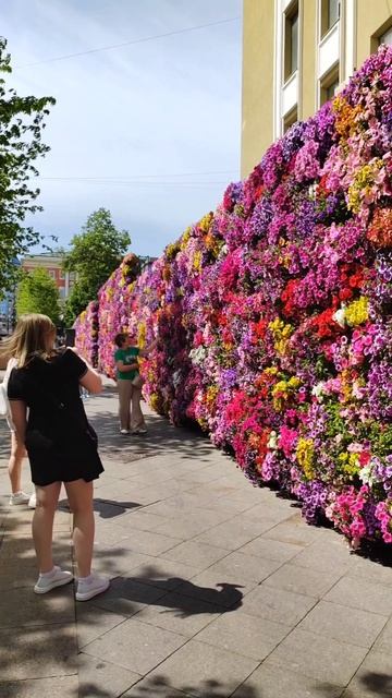 Весь Столешников переулок утопает в цветах 😍
Живая стена из петуний 🌸 #фестивальмосква
