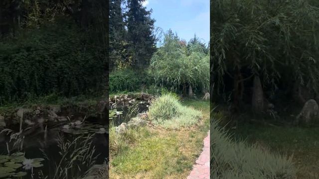 Приглашение на Какао - чайную церемонию в Байдарской д