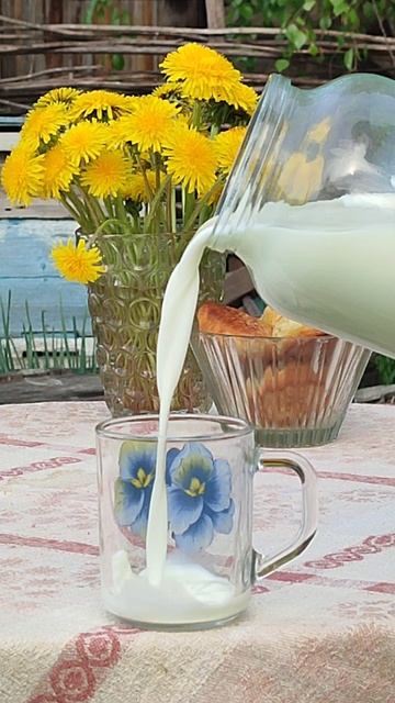 В минуты отдыха #деревня #мойдом