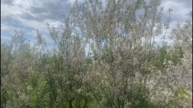 7 признаков что ты та кто будоражит одним своим присутствием