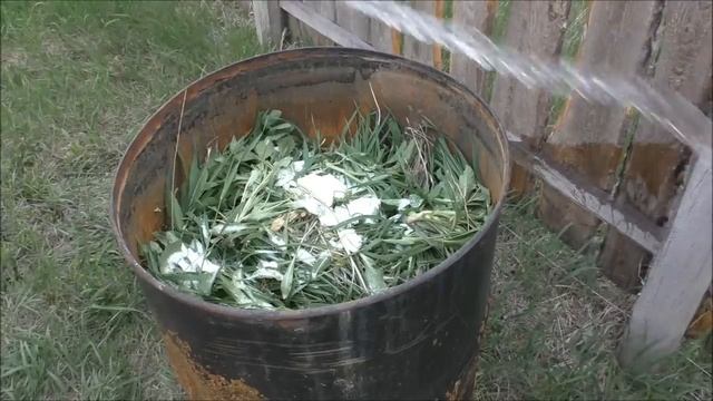 Травяной настой -  универсальное удобрение