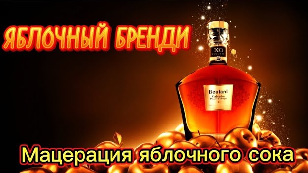 Яблочный бренди. Мацерация яблочного сока на Домспирт.