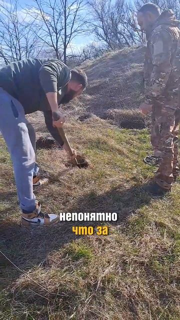 Чай с лимоном! на раскопках
