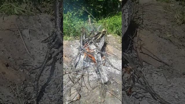 250528 Догорает костёр на даче Утилизирую ветки с огорода Жгу сучья листья трав Дача город Орёл г