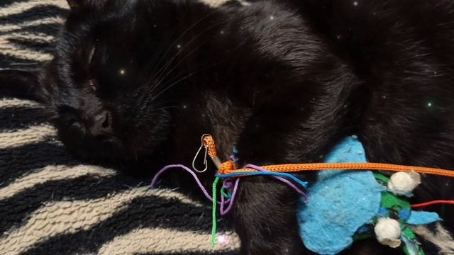 Всем котикам приятных снов🐈⬛💤