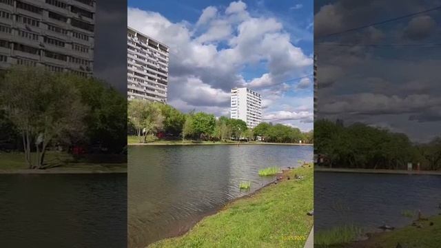 Варшавские пруды 10.05.2025