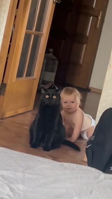 Кот: он за спиной, да? 😅