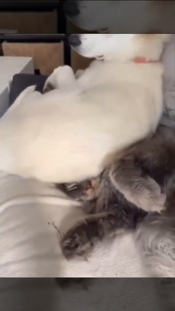 Я Вас не потревожу...😜