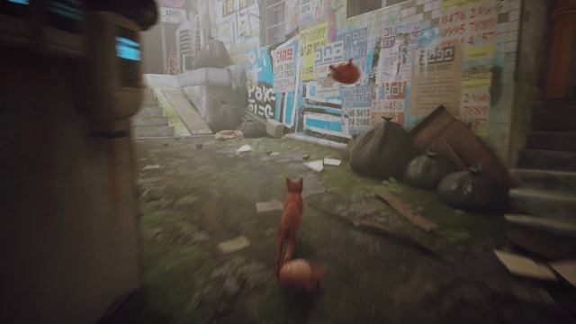 [Stray]  Проходим по частям