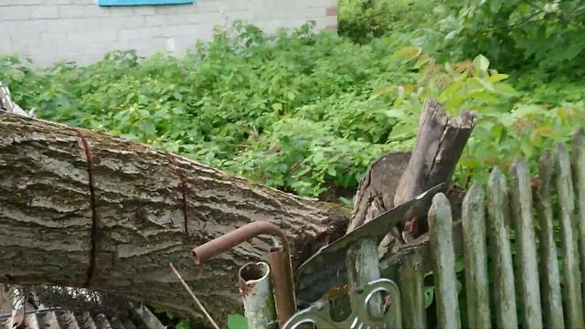 Шахтер - Ингулец. Химки - Зенит. Экспресс прогноз. Видео