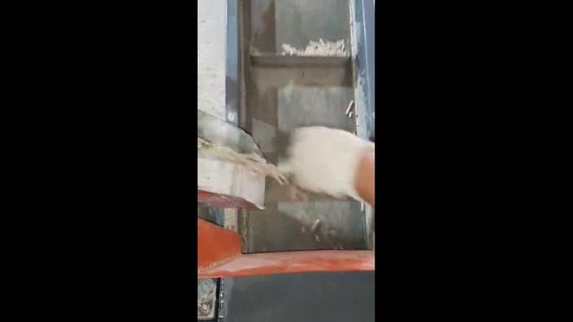 Отруби и комбикорма гранулирование