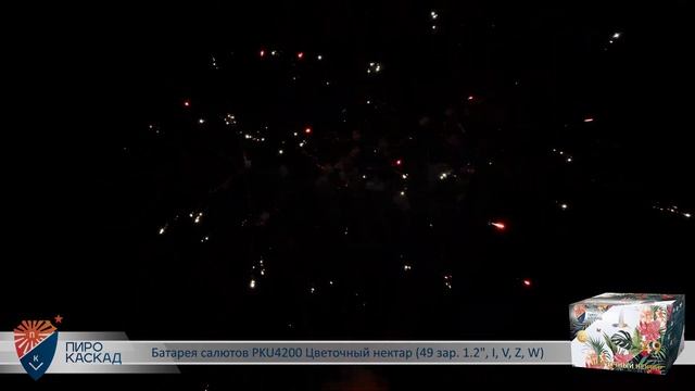 Батарея салютов PKU4200 Цветочный нектар (49 зар. 1.2"  I  V  Z  W)