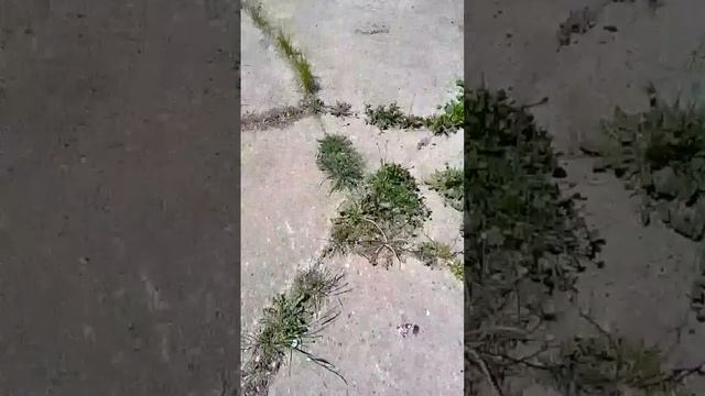 2 сезон 1 серия улица