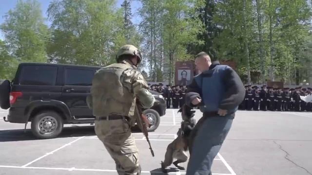В Пермском президентском кадетском училище Росгвардии прошла торжественная церемония