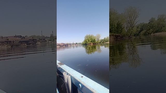 VID_20250528_111447.mp4