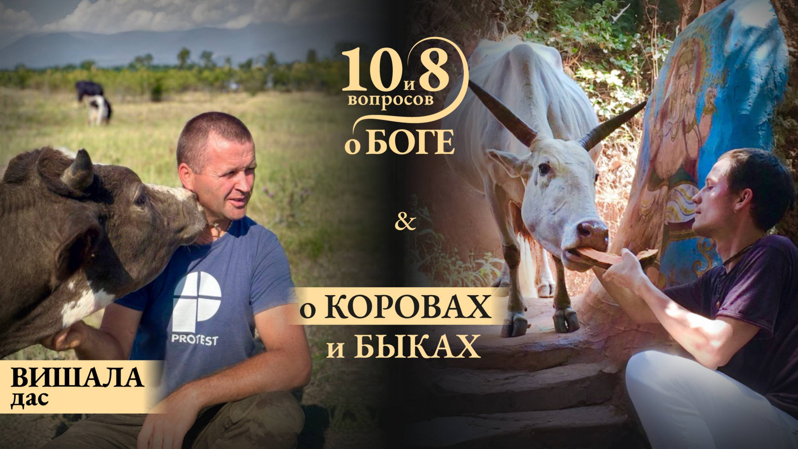 ВИШАЛА дас - о счастливой ферме, любви к коровам, простой жизни и возвышенным мышлении