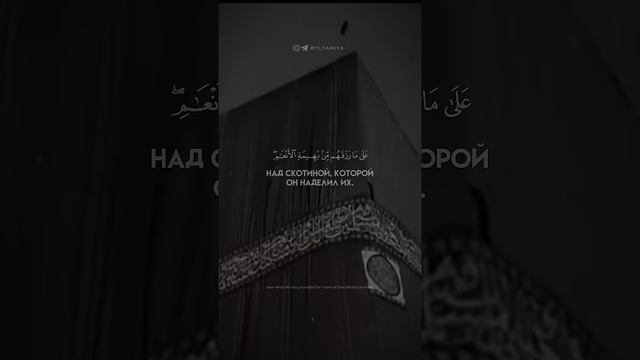 Мансур ас-Салими. Сура 22 Аль-Хаджж
