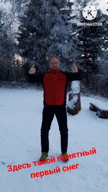 Первый снег в горах и Рольф ❄️