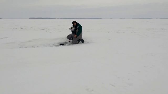 С этой лопатой мы его нашли