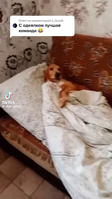 1000099104.mp4