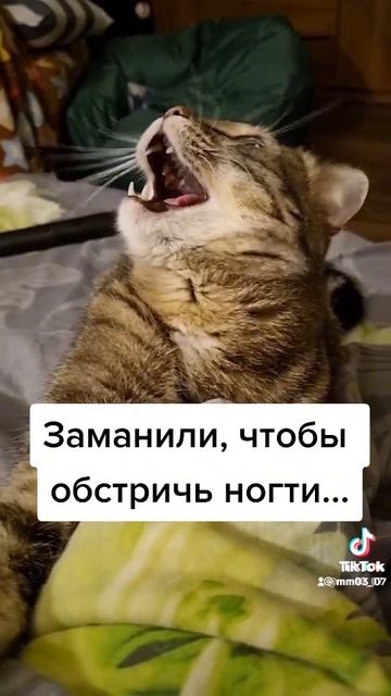 1000098693.mp4