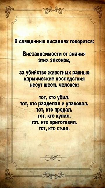 Духовное развитие
